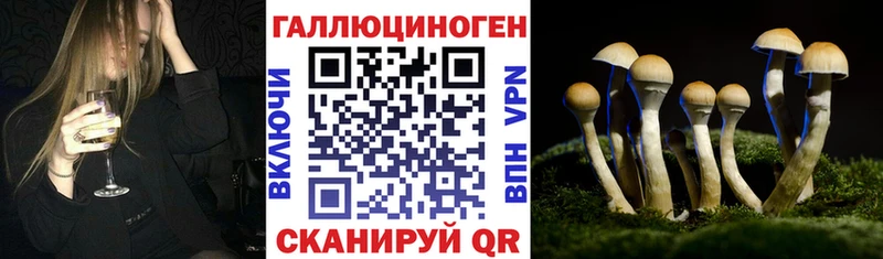 Псилоцибиновые грибы Cubensis где найти наркотики Буй